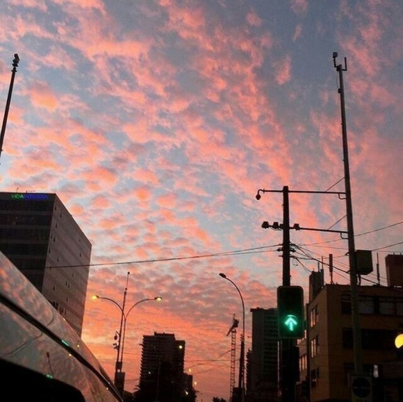 Meet your Posher, Officially - Picture 1 of 1